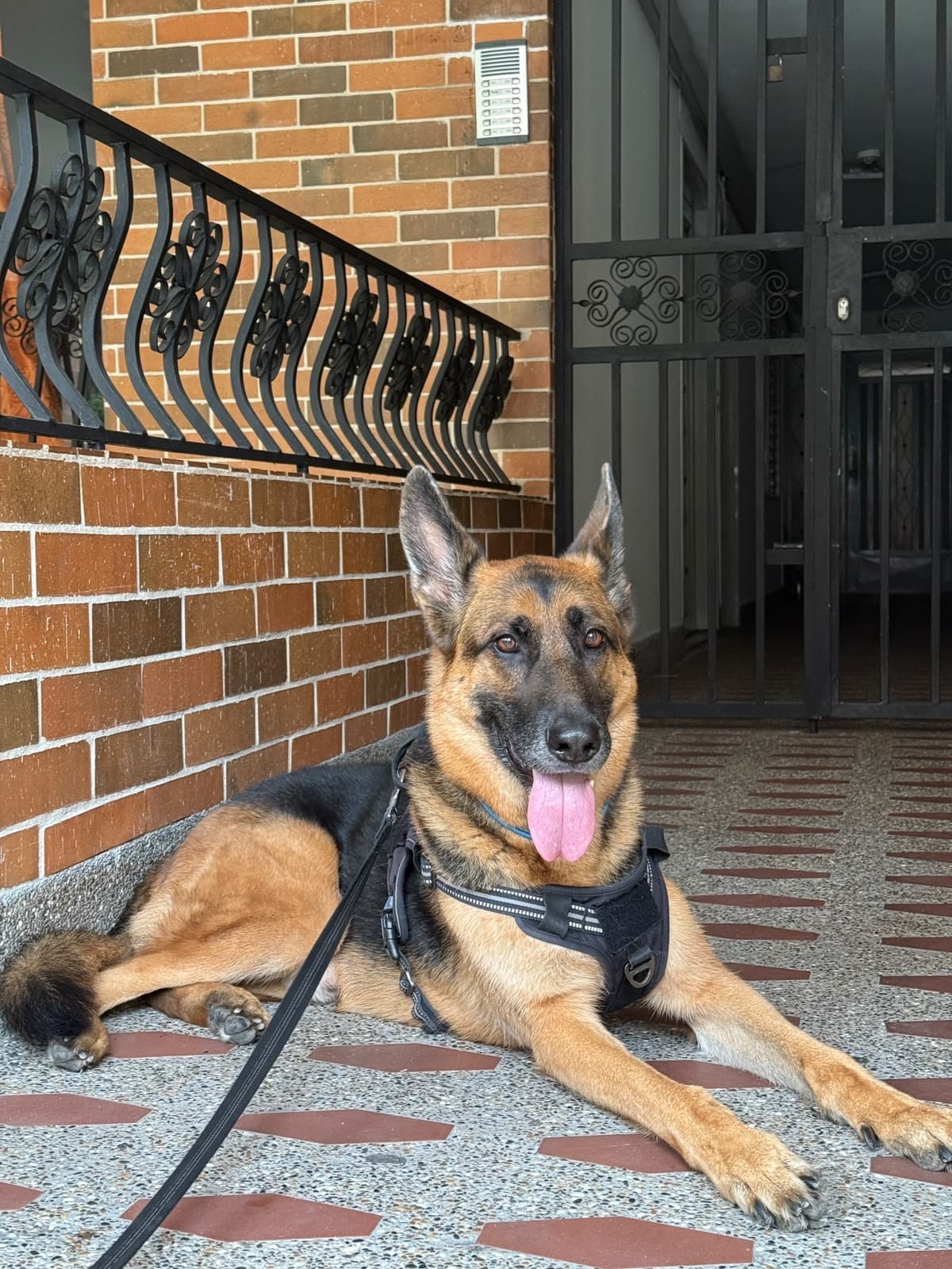 Señor Sargento